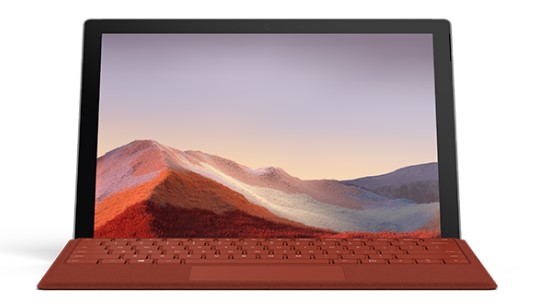 林芝清洁和维护 Surface